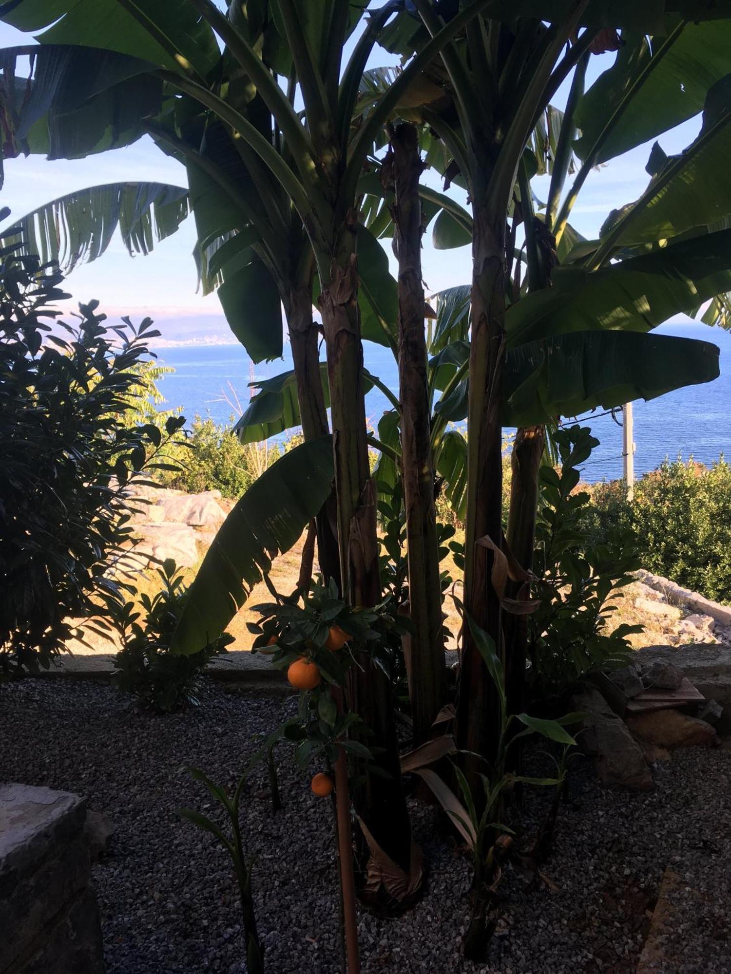 Villa Isabela Ičići Εξωτερικό φωτογραφία